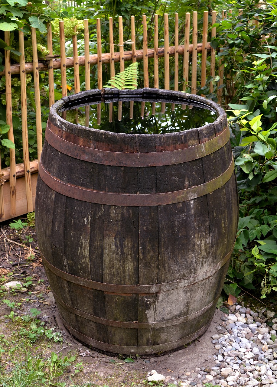 barrel rainwater water watering 4431785