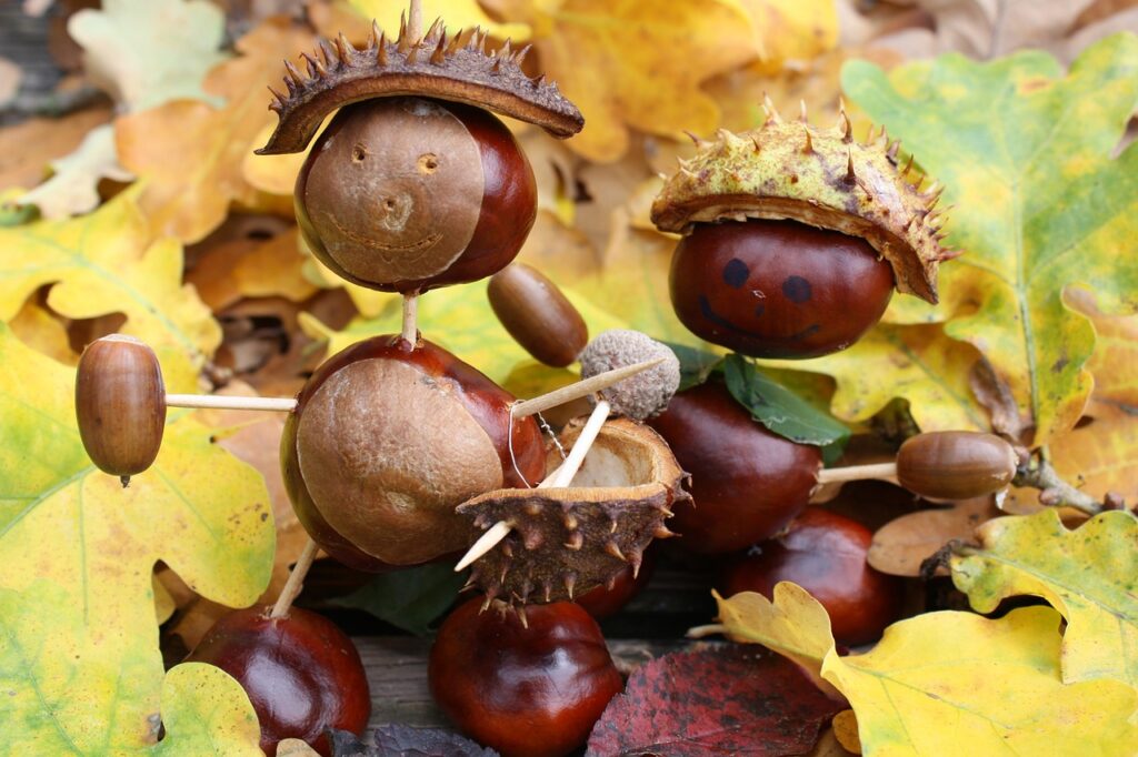 chestnuts handcraft fall 5311368