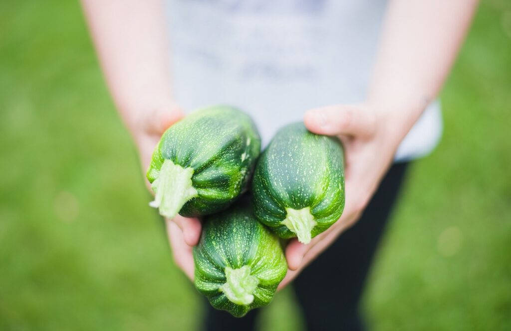 zucchinis vegetables green fresh 1869941